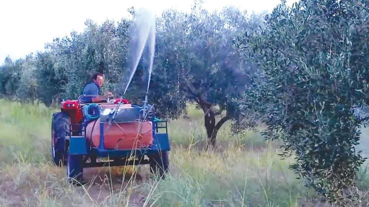 Δημοτική εκλογική κάλπηση στην Πάτρα, Αχαΐας