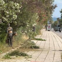 Πάτρα: Εγκατάλειψη και ξεραμένα φυτά στην παραλιακή της Ηρώων Πολυτεχνείου ΦΩΤΟ