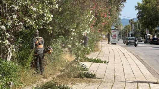 Πάτρα: Εγκατάλειψη και ξεραμένα φυτά στην παραλιακή της Ηρώων Πολυτεχνείου ΦΩΤΟ