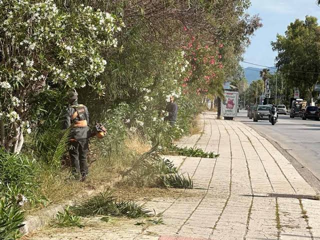 Πάτρα: Εγκατάλειψη και ξεραμένα φυτά στην παραλιακή της Ηρώων Πολυτεχνείου ΦΩΤΟ
