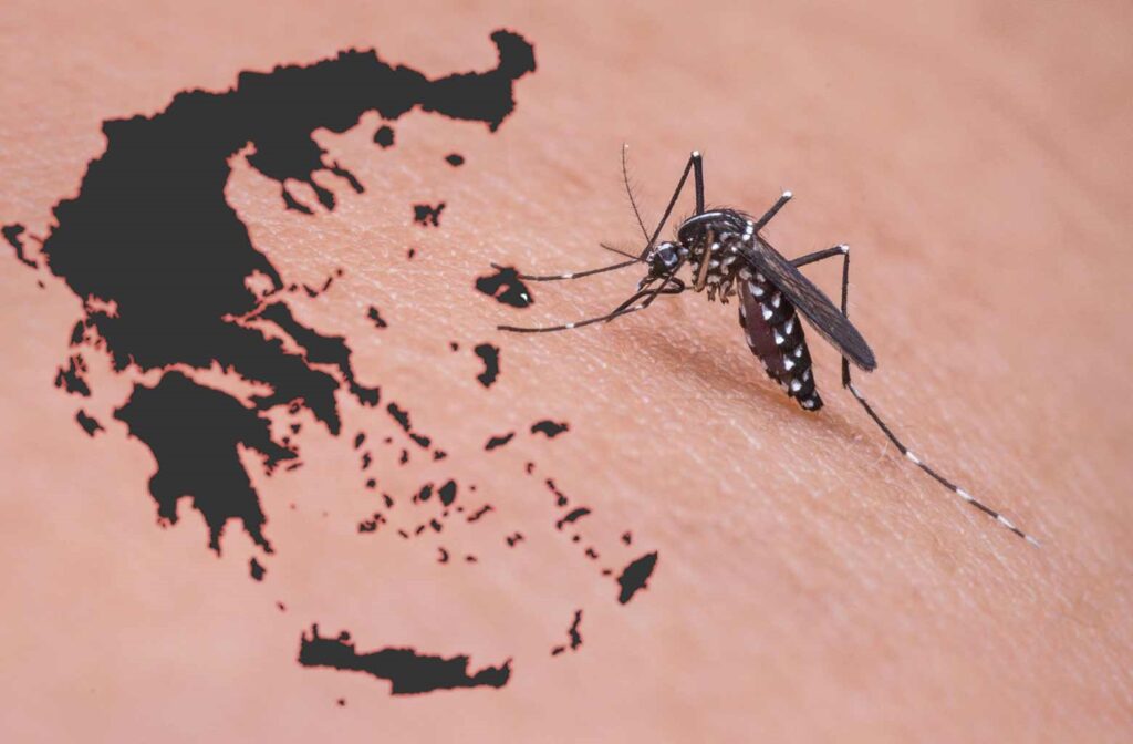 ΕΟΔΥ - Ιός Δυτικού Νείλου: Πότε αναμένεται η κορύφωση των κρουσμάτων του - Ποιοι κινδυνεύουν