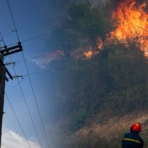 Καρδίτσα: Ακόμη μία πυρκαγιά από υπαιτιότητα του ΔΕΔΔΗΕ