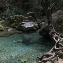 Νάουσα: Τι έδειξε η ιατροδικαστική εξέταση για τη 18χρονη 1 Νάουσα: Τι έδειξε η ιατροδικαστική εξέταση για τη 18χρονη