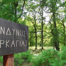 Χαλκιδική: Σε ισχύ από Δευτέρα η απαγόρευση κυκλοφορίας λόγω κινδύνου πυρκαγιάς 1 Χαλκιδική: Σε ισχύ από Δευτέρα η απαγόρευση κυκλοφορίας λόγω κινδύνου πυρκαγιάς