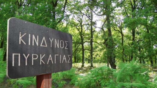 Χαλκιδική: Σε ισχύ από Δευτέρα η απαγόρευση κυκλοφορίας λόγω κινδύνου πυρκαγιάς 12 Χαλκιδική: Σε ισχύ από Δευτέρα η απαγόρευση κυκλοφορίας λόγω κινδύνου πυρκαγιάς