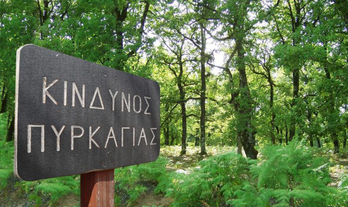 Χαλκιδική: Σε ισχύ από Δευτέρα η απαγόρευση κυκλοφορίας λόγω κινδύνου πυρκαγιάς