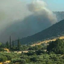 Πυκνός καπνός από πυρκαγιά υψώνεται πάνω από λόφους με βλάστηση κα…