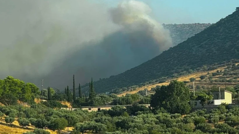 Φωτιά στον Κουβαρά Αττικής - Πάνω από 200 πυροσβέστες και εναέρια - Εκκενώθηκε ο Άγιος Στυλιανός - Ζημιές σε εργοστάσιο και Κτηνοτροφικές Μνάδες 4 Πυκνός καπνός από πυρκαγιά υψώνεται πάνω από λόφους με βλάστηση κα…