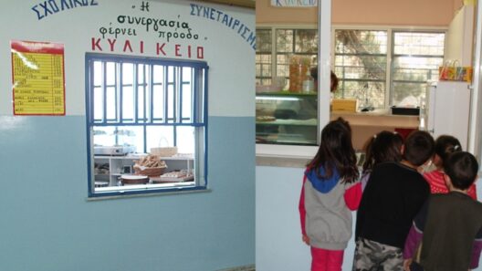 Νέα σχολική χρονιά 2026-27: Αυτά είναι τα προϊόντα που θα πωλούνται στα κυλικεία