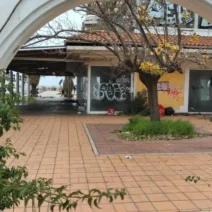 Πάτρα: Μισθώνονται τα δημοτικά ακίνητα «Λάγιου» στην Μαρίνα και στο Κέντρο «Κόλλα» 1 Πάτρα: Μισθώνονται τα δημοτικά ακίνητα «Λάγιου» στην Μαρίνα και στο Κέντρο «Κόλλα»