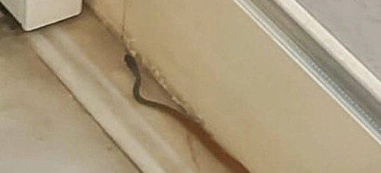 Πύργος ΦΙΔΙ στην Πάτρα