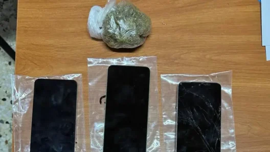 Φωκίδα: Ναρκωτικά και κινητά στα κελιά αποκάλυψε «ντου» της αστυνομίας στις φυλακές
