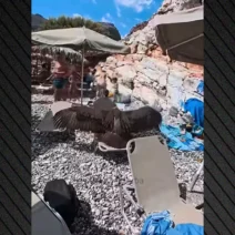 Γύπας προσγειώθηκε σε ξαπλώστρα πολυσύχναστης παραλίας ΒΙΝΤΕΟ