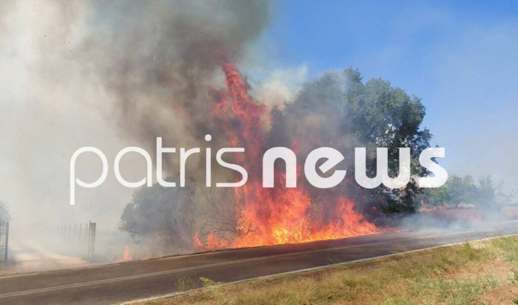 Ηλεία: Σε ύφεση τα μέτωπα στην Ηλεία - Ξέσπασαν σχεδόν ταυτόχρονα ΦΩΤΟ - ΝΕΟΤΕΡΑ