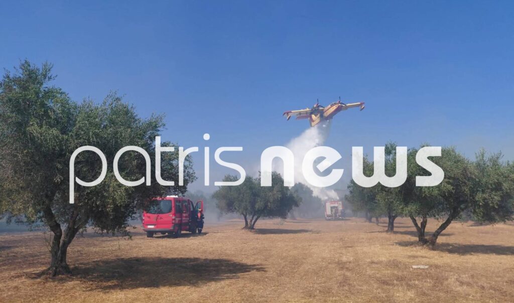 Ηλεία: Σε ύφεση τα μέτωπα στην Ηλεία - Ξέσπασαν σχεδόν ταυτόχρονα ΦΩΤΟ - ΝΕΟΤΕΡΑ 7 Ηλεία: Σε ύφεση τα μέτωπα στην Ηλεία - Ξέσπασαν σχεδόν ταυτόχρονα ΦΩΤΟ - ΝΕΟΤΕΡΑ