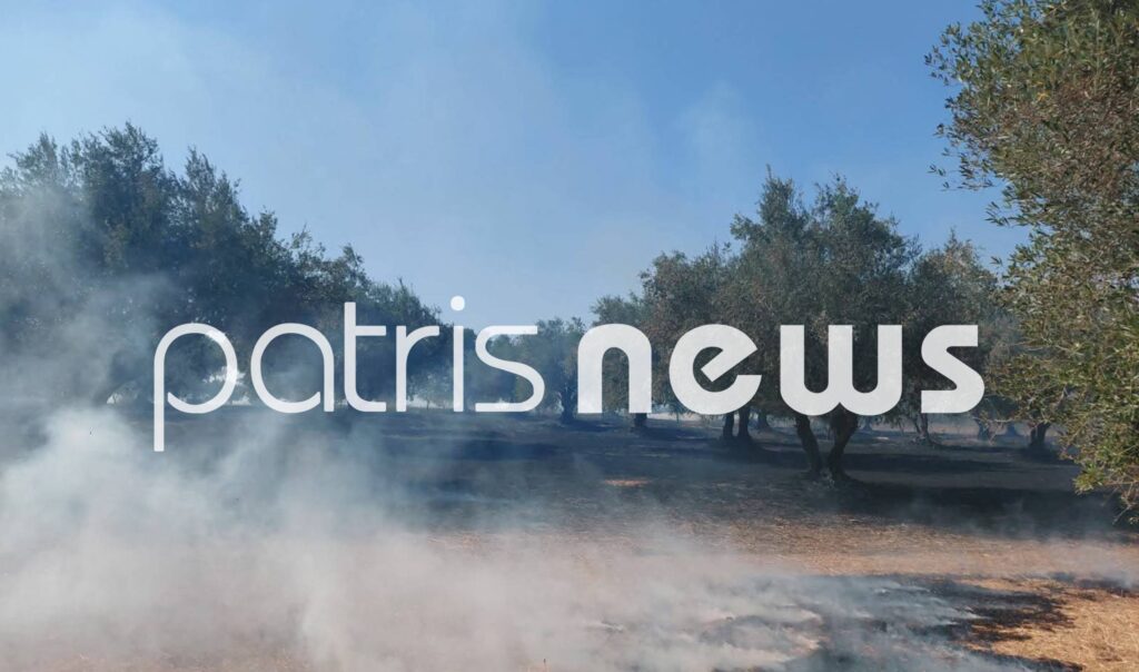 Ηλεία: Σε ύφεση τα μέτωπα στην Ηλεία - Ξέσπασαν σχεδόν ταυτόχρονα ΦΩΤΟ - ΝΕΟΤΕΡΑ 5 Ηλεία: Σε ύφεση τα μέτωπα στην Ηλεία - Ξέσπασαν σχεδόν ταυτόχρονα ΦΩΤΟ - ΝΕΟΤΕΡΑ