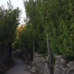 Χανιά: Τραγωδία από τη ζέστη για Γαλλίδα πεζοπόρο