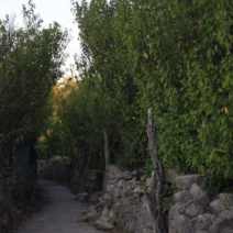 Χανιά: Τραγωδία από τη ζέστη για Γαλλίδα πεζοπόρο 3 Χανιά: Τραγωδία από τη ζέστη για Γαλλίδα πεζοπόρο