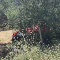 Ηλεία: Εκλεψε αυτοκίνητο καταλήγοντας σε χαντάκι 1 Ελεία αυτοκίνητο καταλήγοντας