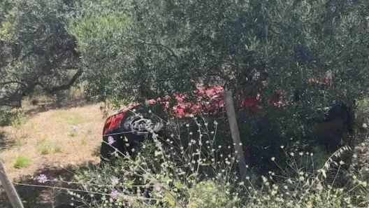 Ηλεία: Εκλεψε αυτοκίνητο καταλήγοντας σε χαντάκι 12 Ελεία αυτοκίνητο καταλήγοντας