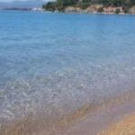 Εύβοια: Αποκρουστικό θέαμα σε παραλία - Τι ξέβρασε η θάλασσα ΦΩΤΟ