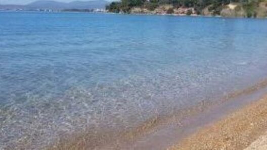 Εύβοια: Αποκρουστικό θέαμα σε παραλία - Τι ξέβρασε η θάλασσα ΦΩΤΟ 12 Εύβοια: Αποκρουστικό θέαμα σε παραλία - Τι ξέβρασε η θάλασσα ΦΩΤΟ