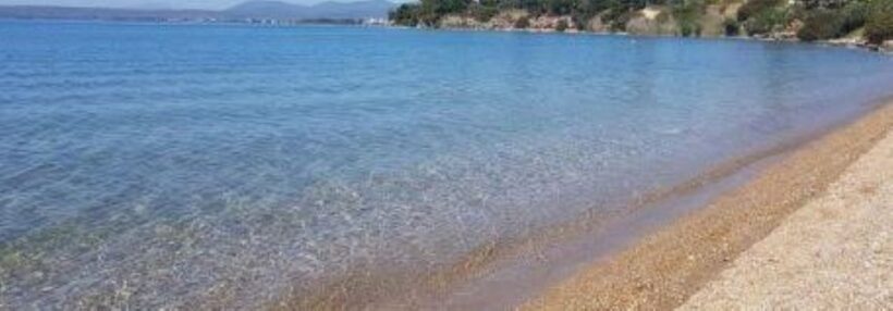 Εύβοια: Αποκρουστικό θέαμα σε παραλία - Τι ξέβρασε η θάλασσα ΦΩΤΟ 4 Εύβοια: Αποκρουστικό θέαμα σε παραλία - Τι ξέβρασε η θάλασσα ΦΩΤΟ