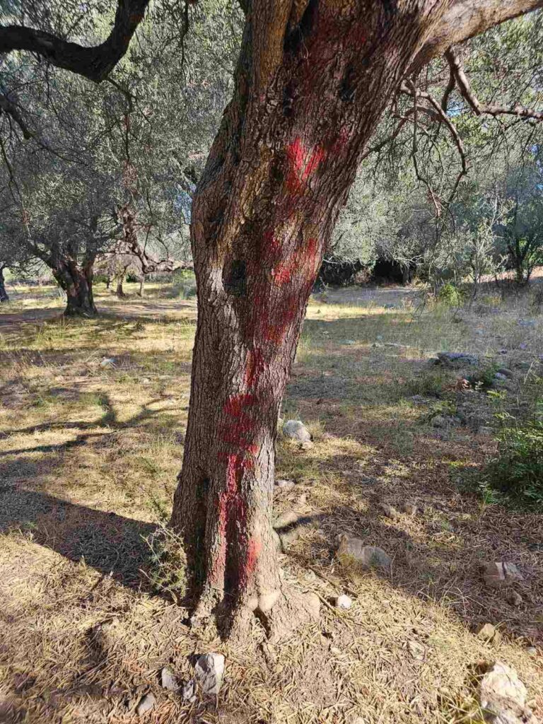 Ροδινή: Αυθαιρεσίες σε παραλία γυμνιστών «με τη συναίνεση της δημοτικής αρχής» ΦΩΤΟ 16 Ροδινή: Αυθαιρεσίες σε παραλία γυμνιστών «με τη συναίνεση της δημοτικής αρχής» ΦΩΤΟ