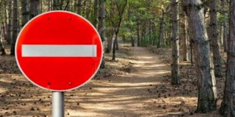 Πάτρα: «Πορτοκαλί» συναγερμός για πυρκαγιά – Όλες οι απαγορεύσεις