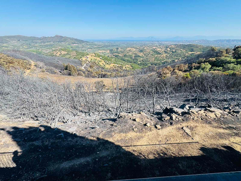 Αιγιάλεια: Στάχτη 7.000 στρέμματα - Κάηκαν δάση και καλλιέργειες - Χωρίς ενεργό μέτωπο - Αξιωματικός της ΠΥ στο Patrapress «Ήταν περίεργη φωτιά» - ΦΩΤΟΡΕΠΟΡΤΑΖ 20 Αιγιάλεια: Στάχτη 7.000 στρέμματα - Κάηκαν δάση και καλλιέργειες - Χωρίς ενεργό μέτωπο - Αξιωματικός της ΠΥ στο Patrapress «Ήταν περίεργη φωτιά» - ΦΩΤΟΡΕΠΟΡΤΑΖ