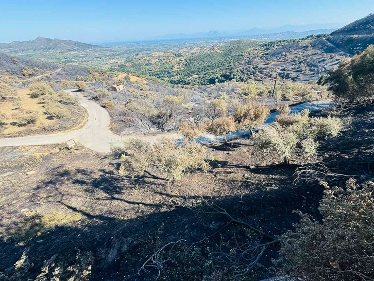 Αιγιάλεια: Στάχτη 7.000 στρέμματα - Κάηκαν δάση και καλλιέργειες - Χωρίς ενεργό μέτωπο - Αξιωματικός της ΠΥ στο Patrapress «Ήταν περίεργη φωτιά» - ΦΩΤΟΡΕΠΟΡΤΑΖ