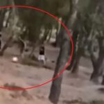 Πεντέλη: Εντοπίστηκαν 13χρονοι που έβαλαν φωτιά ΒΙΝΤΕΟ