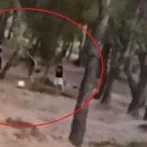 Πεντέλη: Εντοπίστηκαν 13χρονοι που έβαλαν φωτιά για challenge