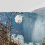 Φωτιά σε δάσος στη Νερομάννα Αιτωλοακαρνανίας - Μήνυμα για 112