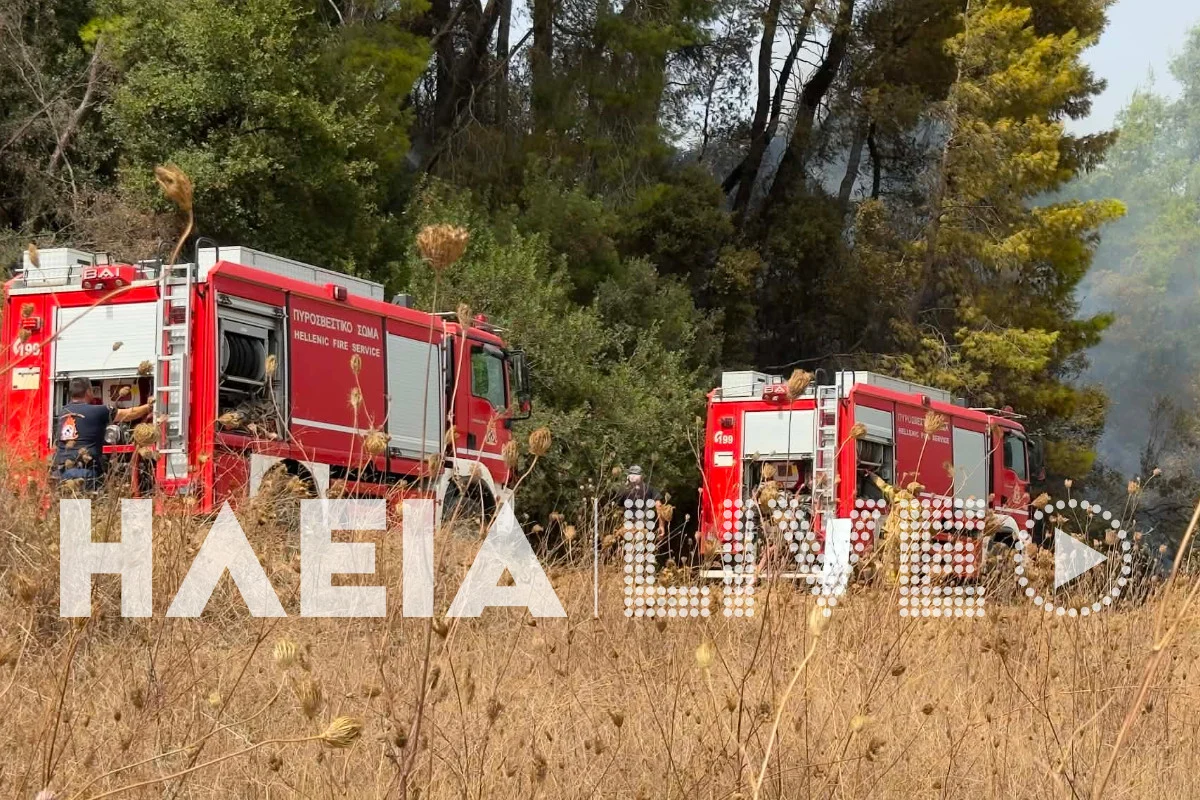 Οριοθετήθηκε η φωτιά στην Ηλεία ΦΩΤΟ (Νεότερα) 8 Οριοθετήθηκε η φωτιά στην Ηλεία ΦΩΤΟ (Νεότερα)
