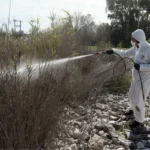 Αχαΐα: Σε επιφυλακή για Κουνούπια, Ιό Δυτικού Νείλου, Ευλογιά - Αυστηρά μέτρα - Οι αρμόδιοι στο Patrapress