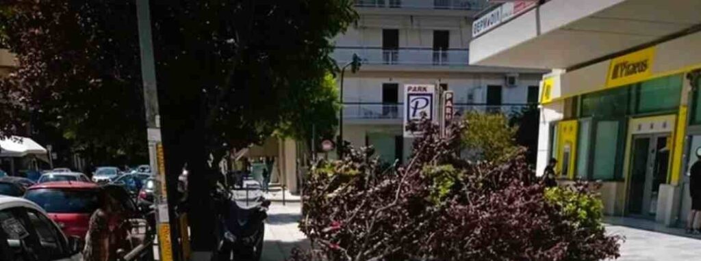Πάτρα: «Σάρωσαν» οι ισχυροί άνεμοι - Κάδος έπεσε σε ΙΧ – Επικίνδυνη πτώση δέντρου ΦΩΤΟ 5 Πάτρα: «Σάρωσαν» οι ισχυροί άνεμοι - Κάδος έπεσε σε ΙΧ – Επικίνδυνη πτώση δέντρου ΦΩΤΟ