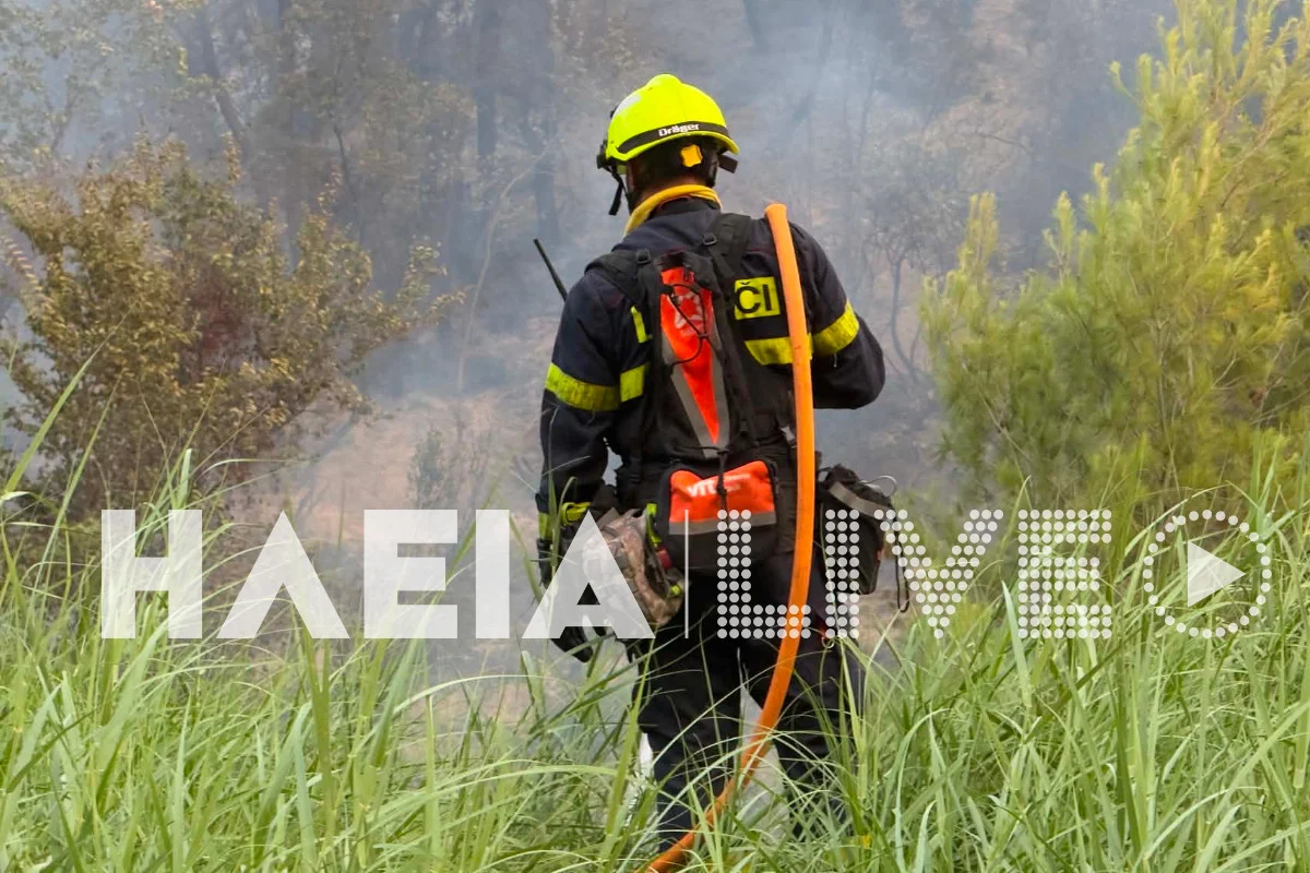 Μεγάλη φωτιά στην Ηλεία - Στη μάχη και Τσέχοι πυροσβέστες ΦΩΤΟ-ΒΙΝΤΕΟ 5 Μεγάλη φωτιά στην Ηλεία - Στη μάχη και Τσέχοι πυροσβέστες ΦΩΤΟ-ΒΙΝΤΕΟ
