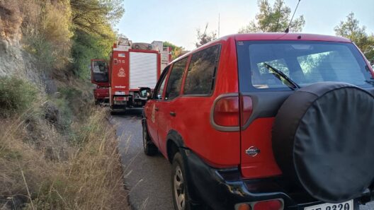 Αχαΐα: Νεκρός σε φωτιά στα Μοιραίικα - Ενα χρόνο μετά την περσινή καταστροφική πυρκαγιά