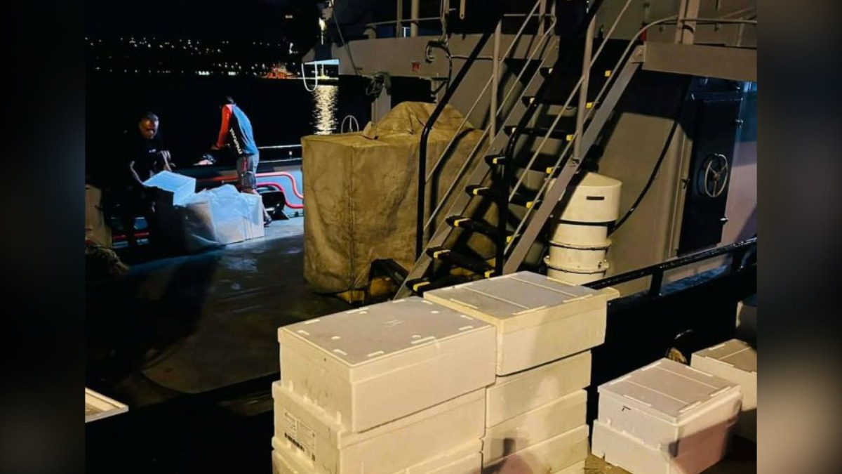 Επεισοδιακή καταδίωξη στα Χανιά - Έπεσε στη θάλασσα για να διαφύγει ΦΩΤΟ 5 Επεισοδιακή καταδίωξη στα Χανιά - Έπεσε στη θάλασσα για να διαφύγει ΦΩΤΟ