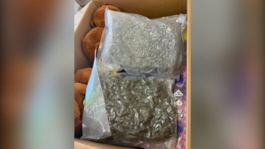 Χανιά: Έστελναν ναρκωτικά κρυμμένα σε κουτιά παιχνιδιών 12 Χανιά με ναρκωτικά κρυμμένα