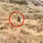 Φωτιά στο Ρέθυμνο: Βίντεο-ντοκουμέντο με τις κινήσεις ατόμου πριν την πυρκαγιά ΒΙΝΤΕΟ