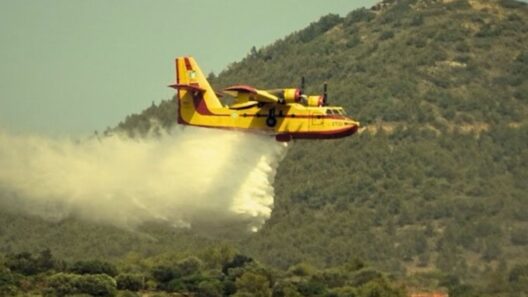 Αχαΐα: Σαν σήμερα η μοιραία πτώση του Canadair στη Ροδινή - Η αυτοθυσία των πιλότων