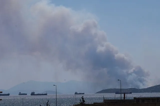 Πύρινος συναγερμός στη Σαλαμίνα – Δύο μέτωπα υπό ισχυρούς ανέμους ΦΩΤΟ - ΒΙΝΤΕΟ (Νεότερα)