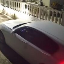 Αποτρόπαιο -Κέρκυρα: Οδηγός πάτησε και σκότωσε σκύλο που κοιμόταν ΒΙΝΤΕΟ ΣΚΛΗΡΕΣ ΕΙΚΟΝΕΣ