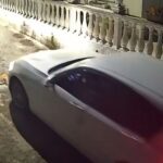Αποτρόπαιο - Κέρκυρα: Οδηγός πάτησε και σκότωσε σκύλο που κοιμόταν ΒΙΝΤΕΟ ΣΚΛΗΡΕΣ ΕΙΚΟΝΕΣ