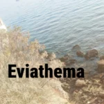 Χαλκίδα: Οδηγός έπεσε σε γκρεμό 15 μέτρων μετά από τροχαίο ΒΙΝΤΕΟ
