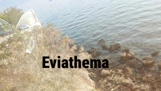 Χαλκίδα: Οδηγός έπεσε σε γκρεμό 15 μέτρων μετά από τροχαίο ΒΙΝΤΕΟ