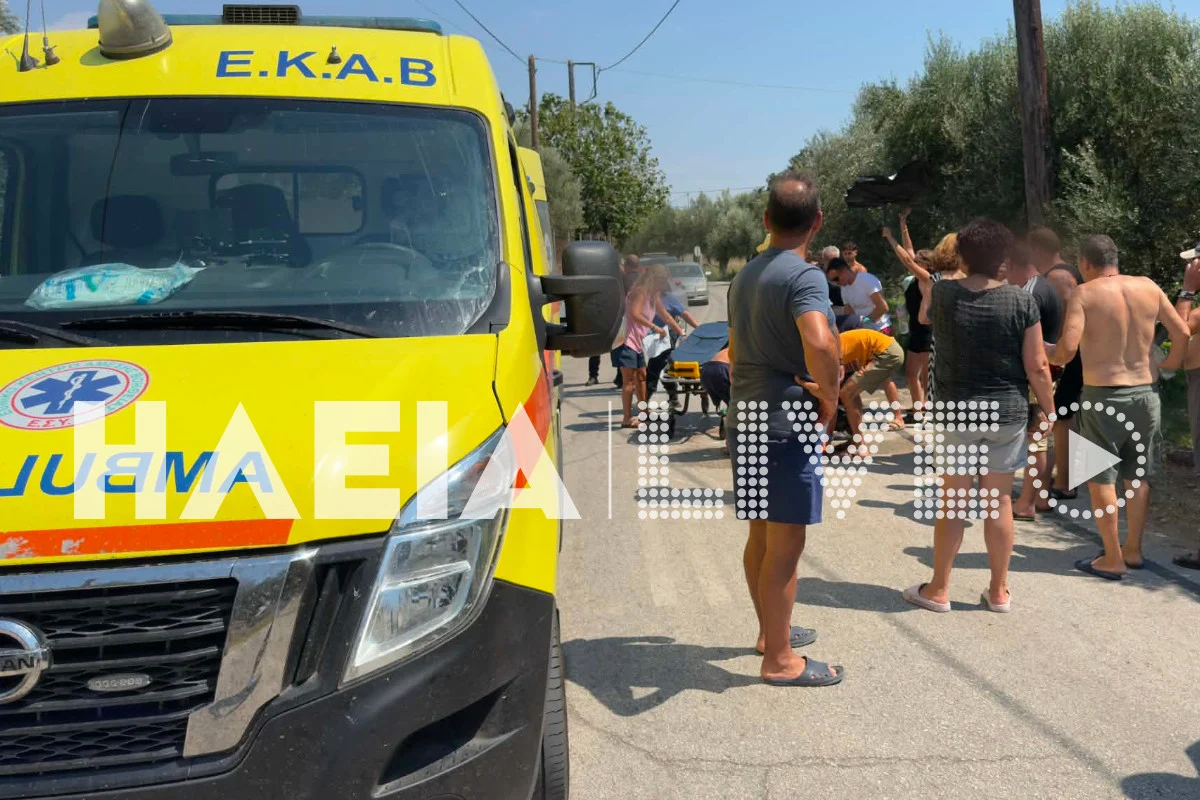 Πύργος: Γουρούνα εξετράπη και ανετράπη - Σοβαρά τραυματισμένος ο οδηγός ΦΩΤΟ