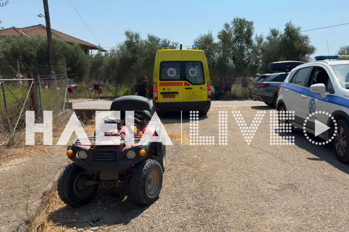 Πύργος: Γουρούνα εξετράπη και ανετράπη - Σοβαρά τραυματισμένος ο οδηγός ΦΩΤΟ